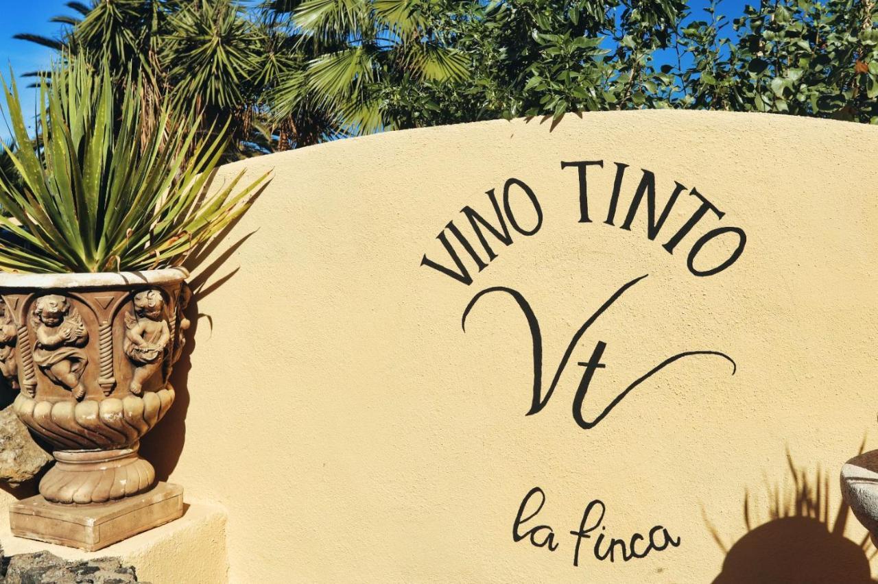 Finca Vino Tinto 1 Icod De Los Vinos Exterior foto